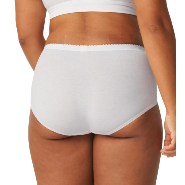 Slip in Cotone con Pizzo Chic Maxi – Sloggi (2 Paia) - immagine 4